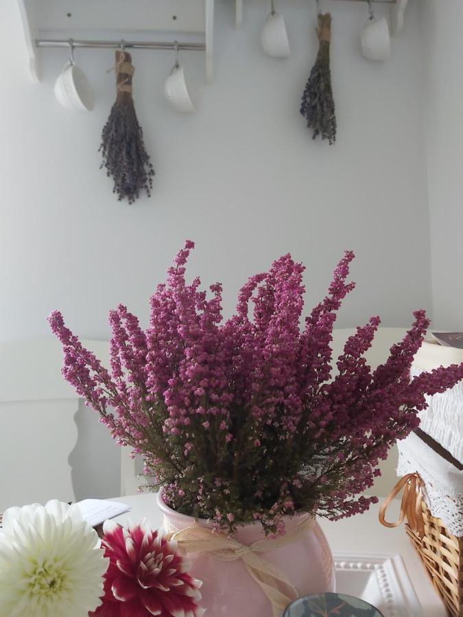 Lawendowe Love Rynek Rzeszow Close Center Apartment Ngoại thất bức ảnh
